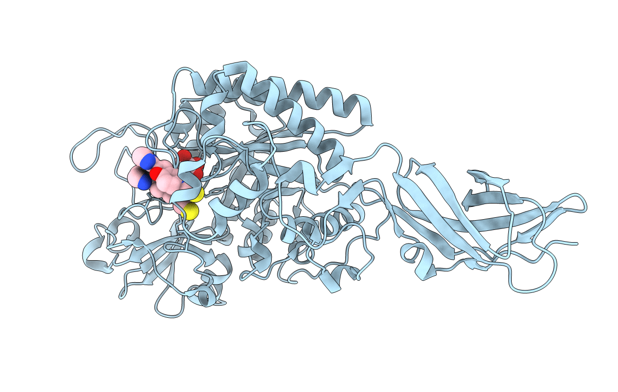 3AS3 image