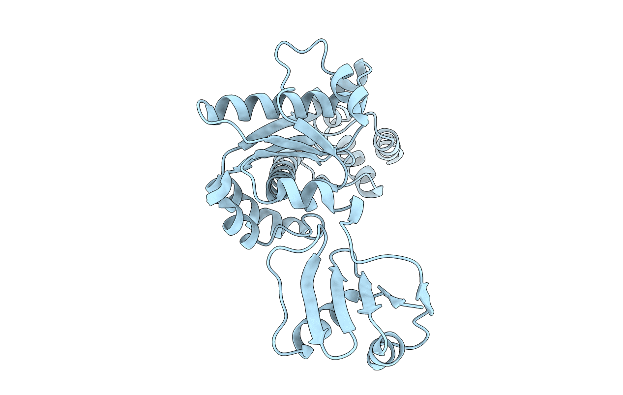 3ASM image