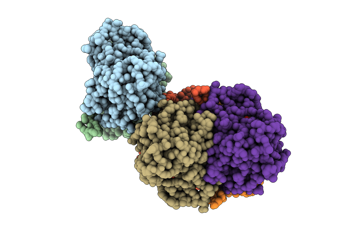 3ASV image