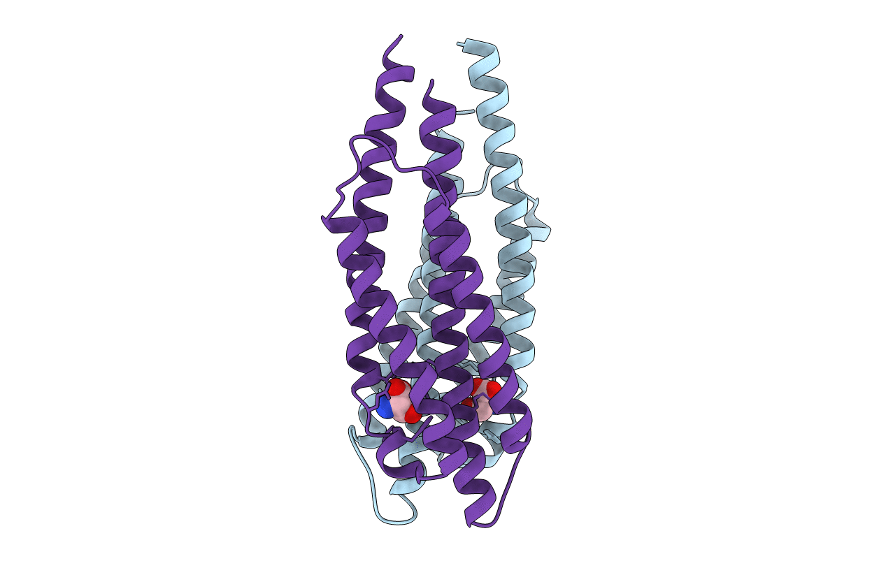 3ATP image