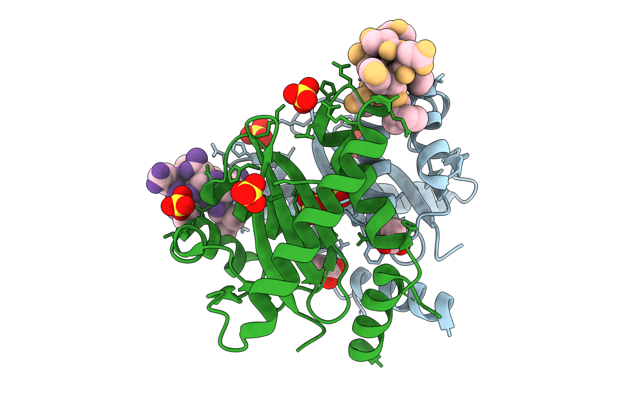 3AVC image