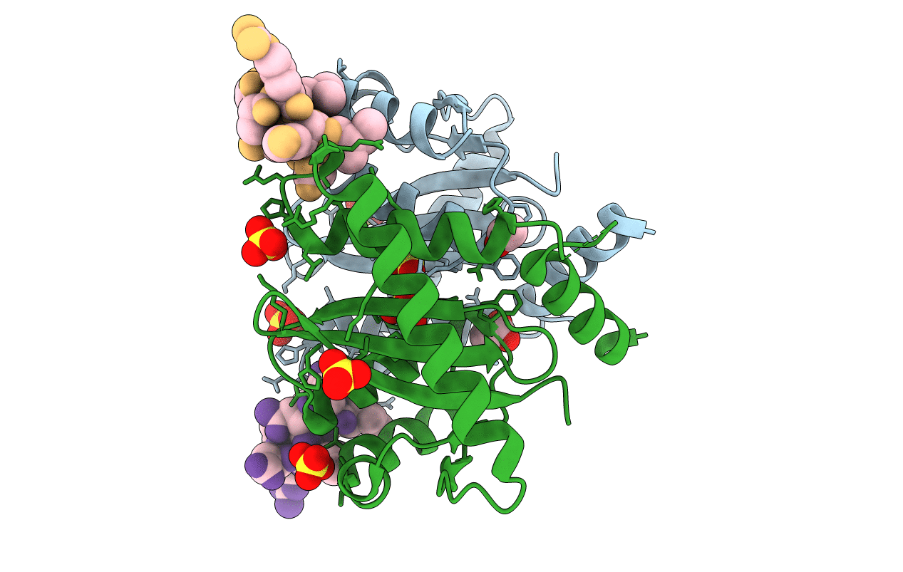 3AVH image