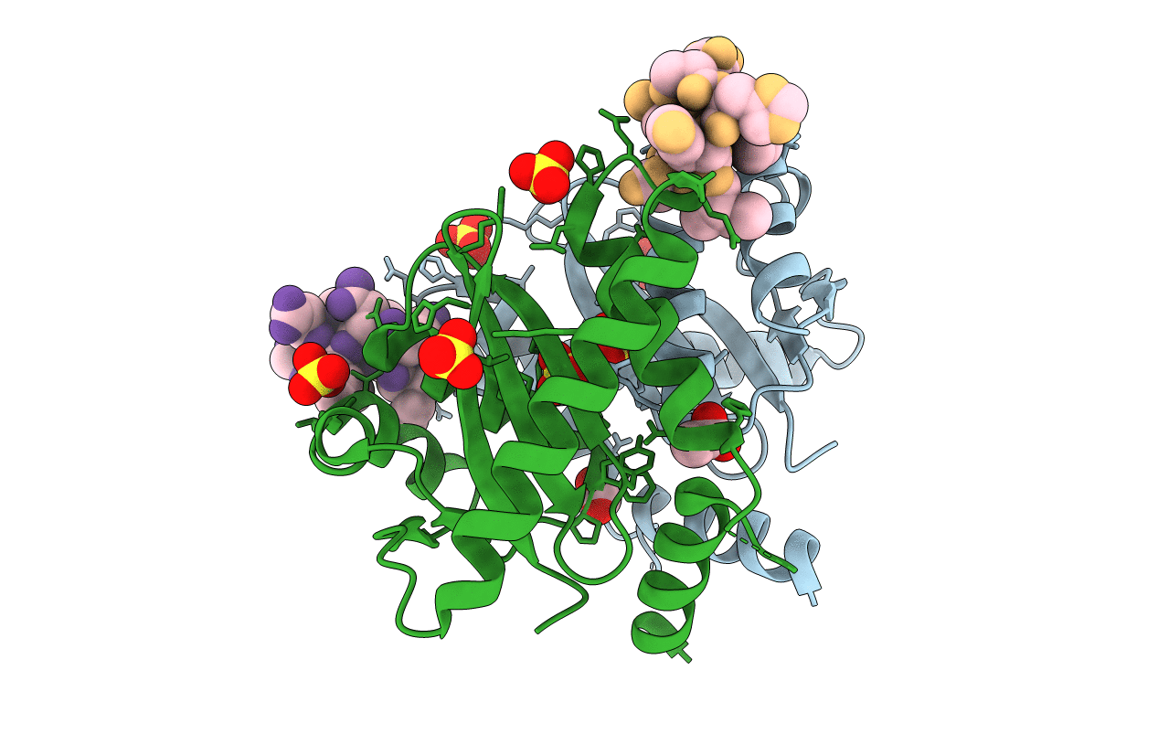 3AVN image