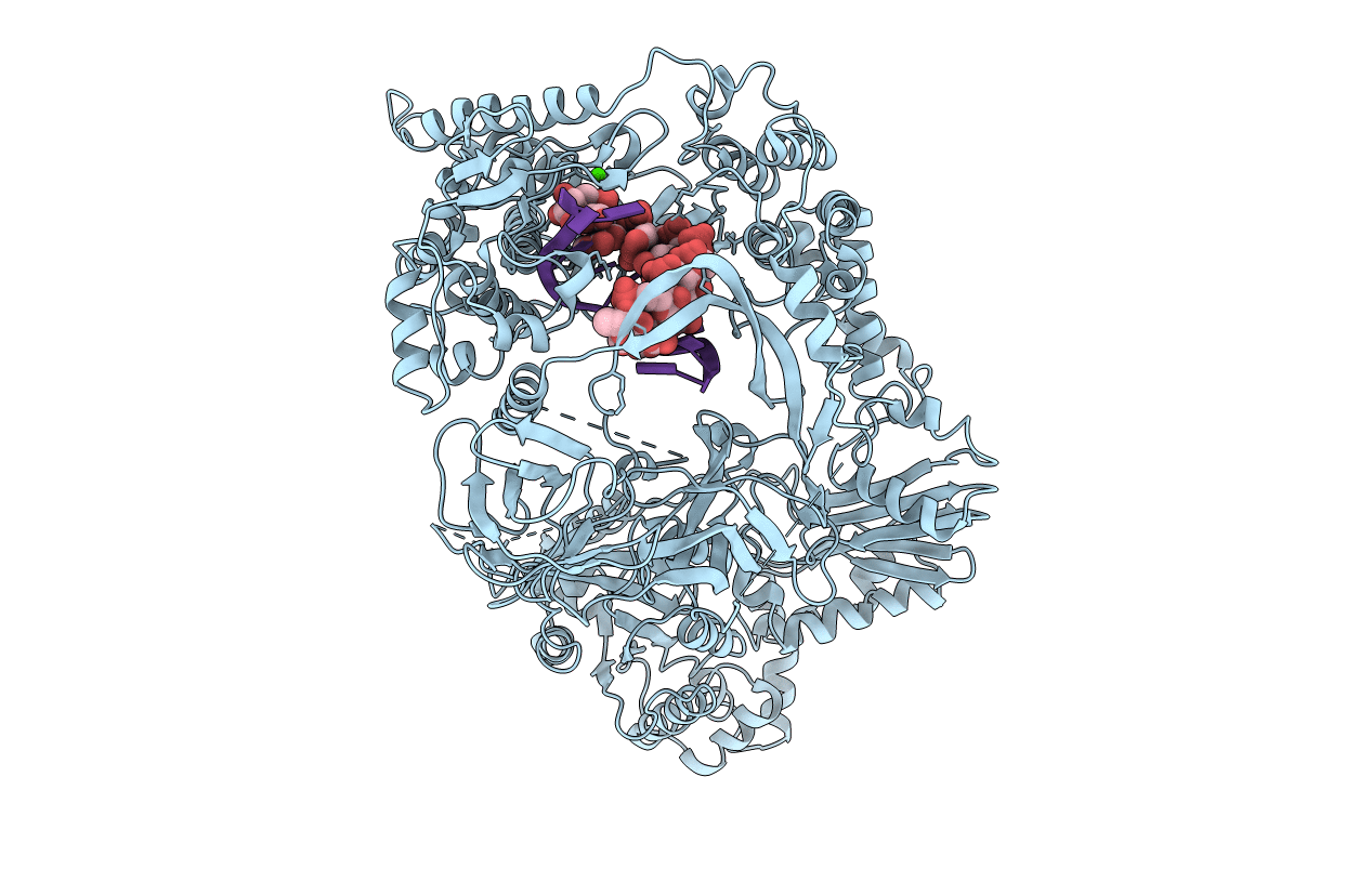 3AVV image