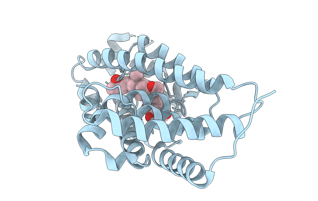 3AX8 image