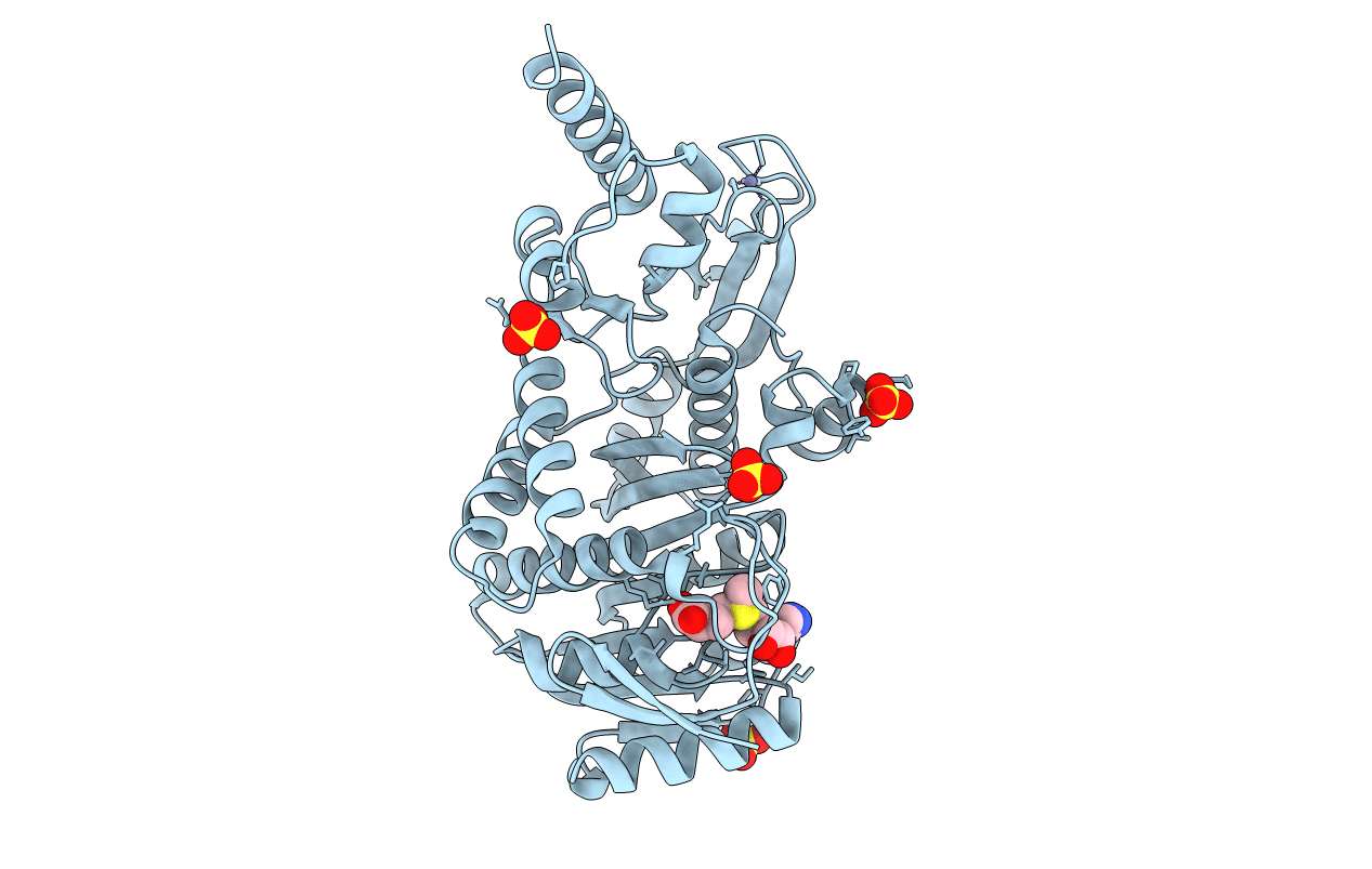 3AXT image