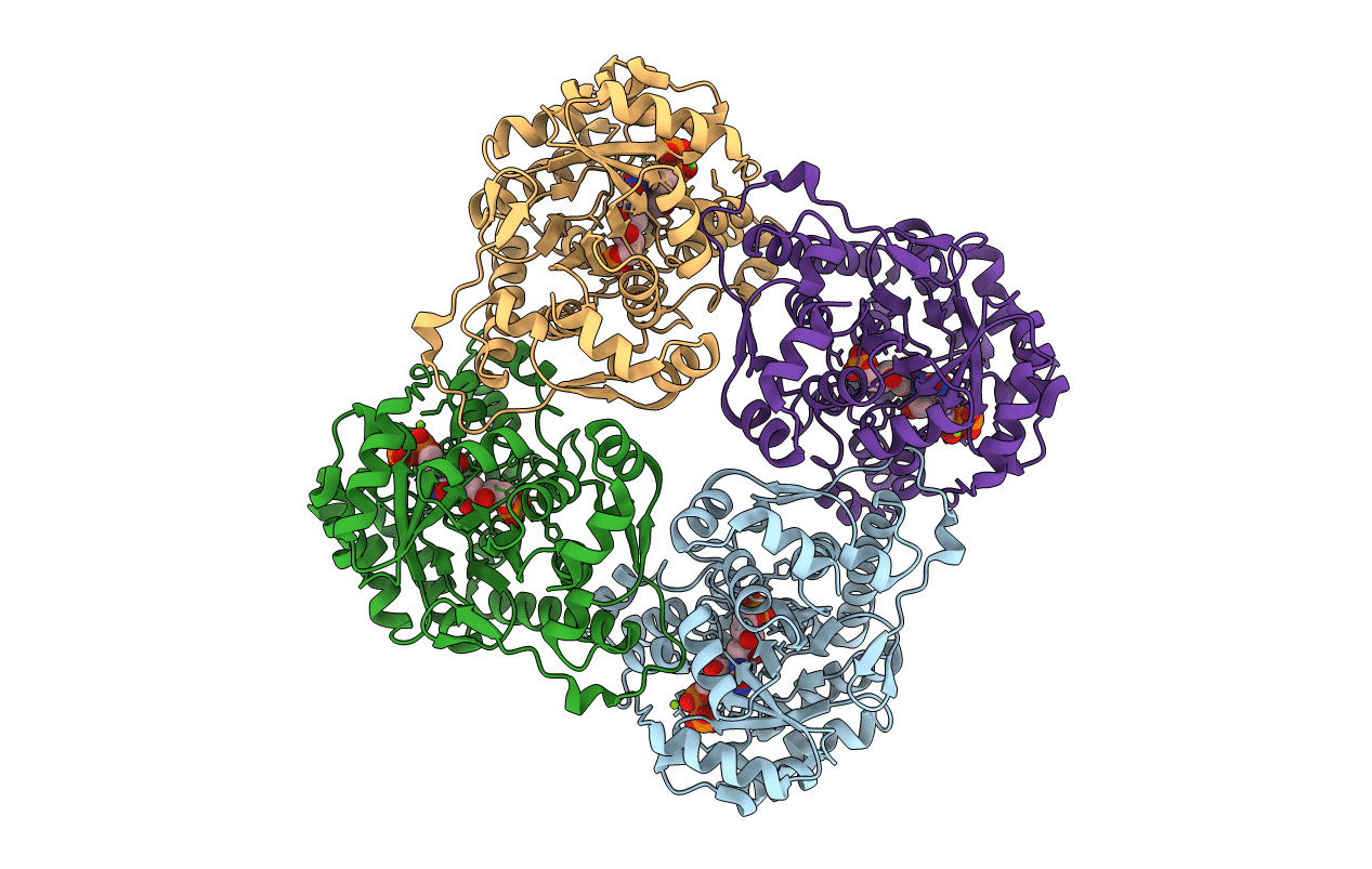 3B04 image