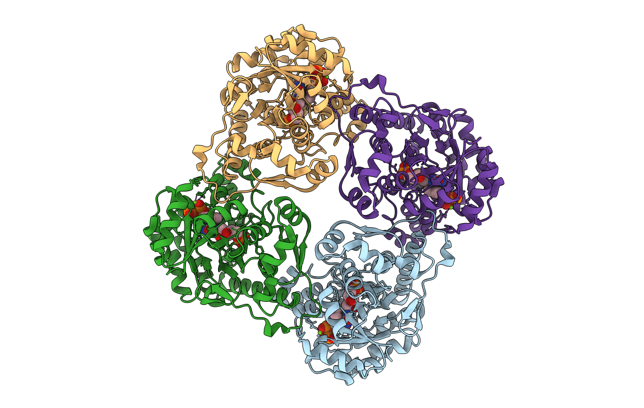 3B05 image