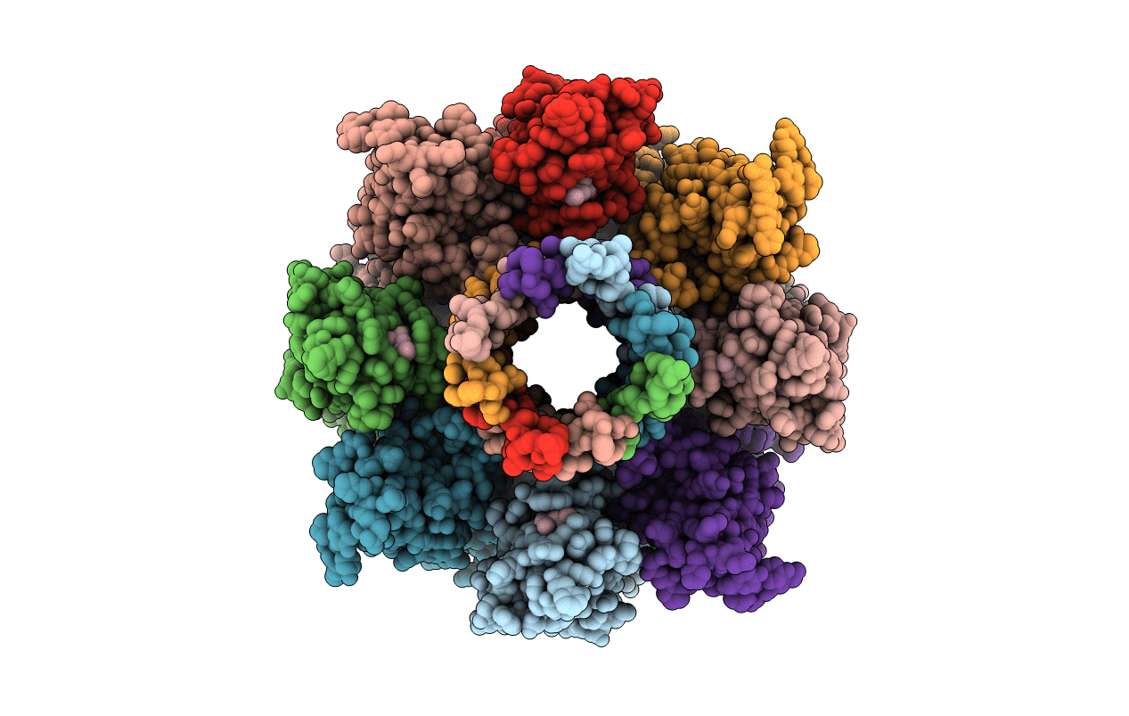 3b07 image