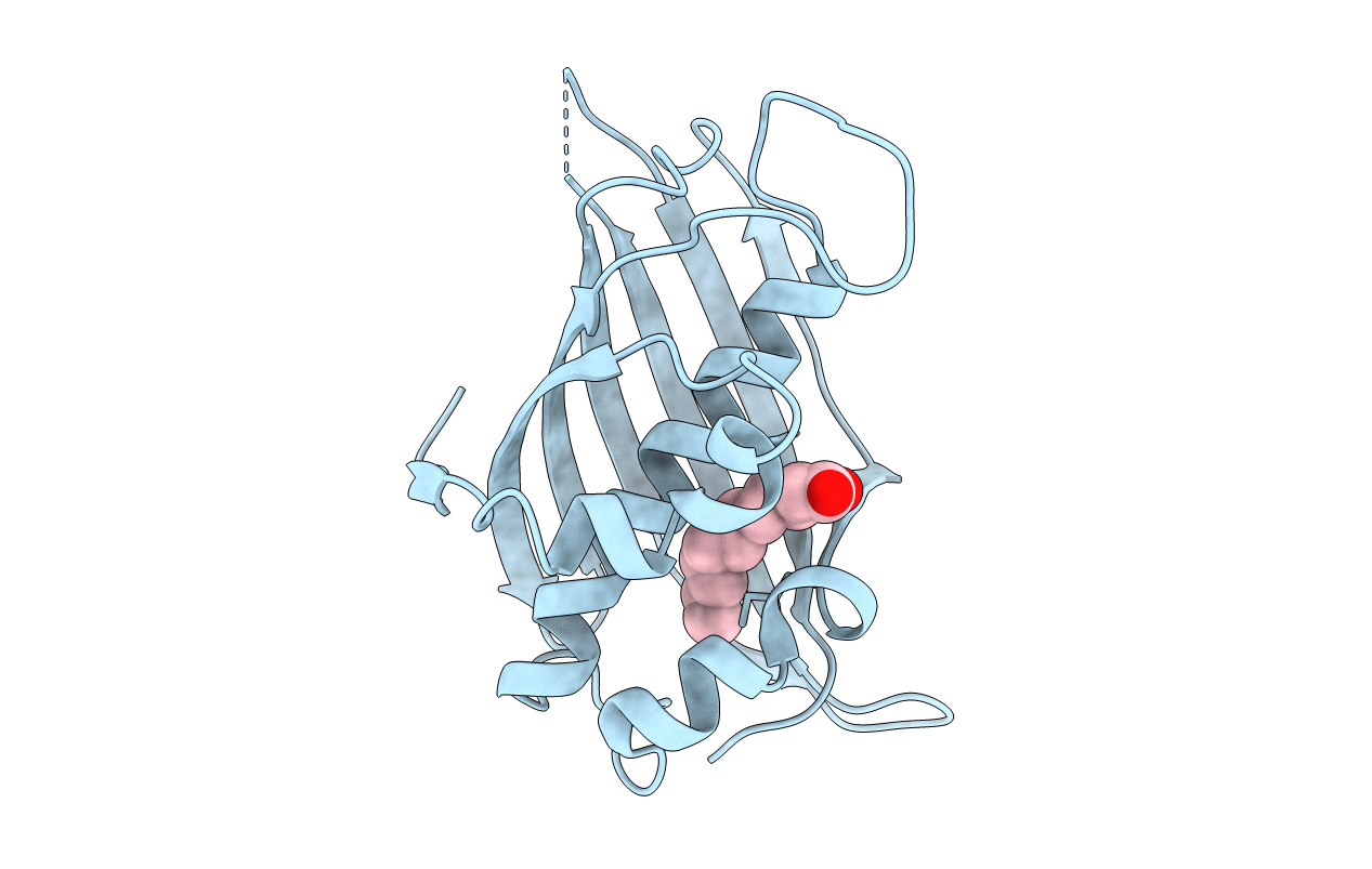 3B18 image