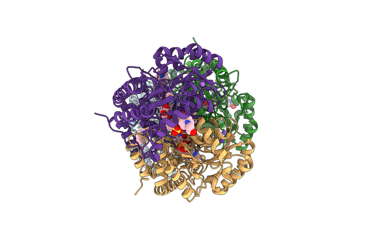 3B1D image