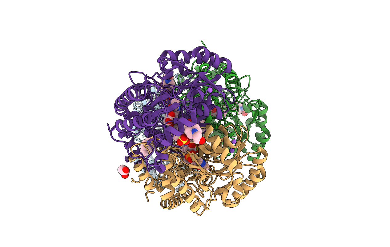 3B1E image