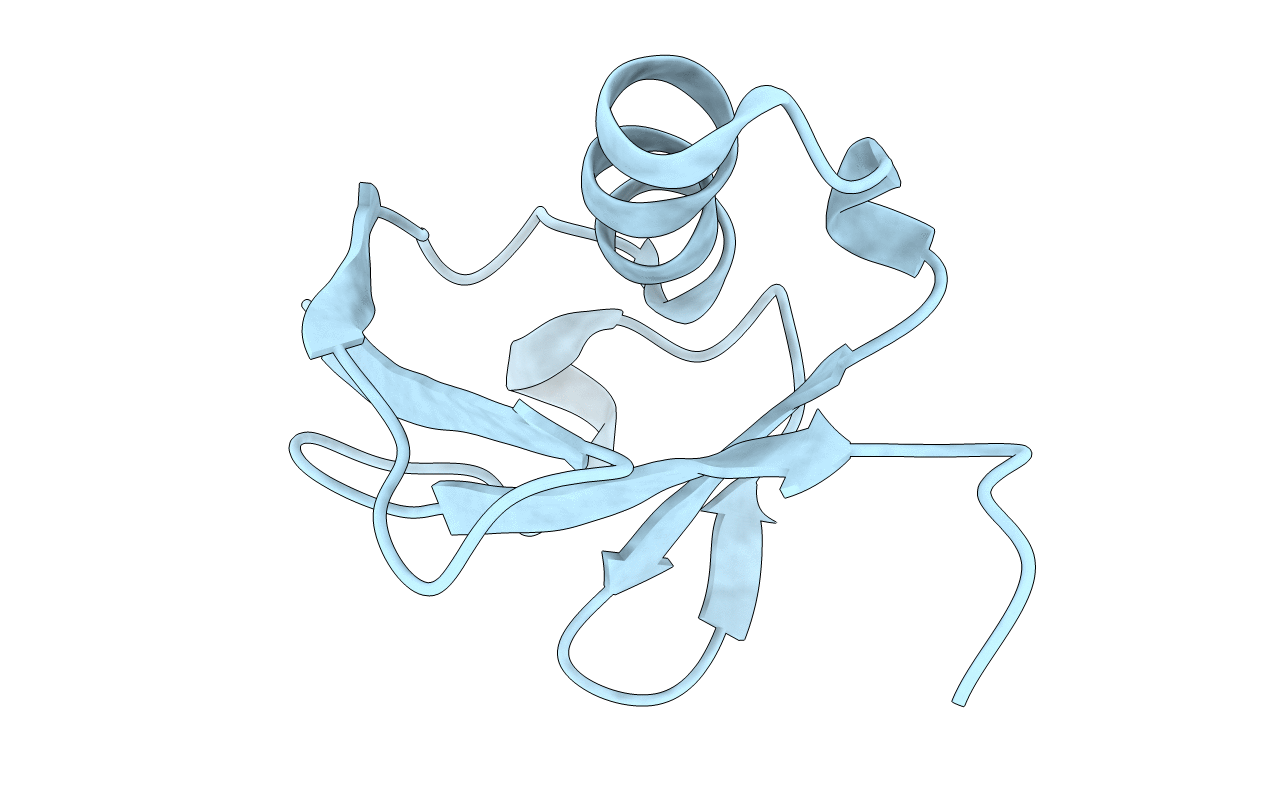 3B1L image