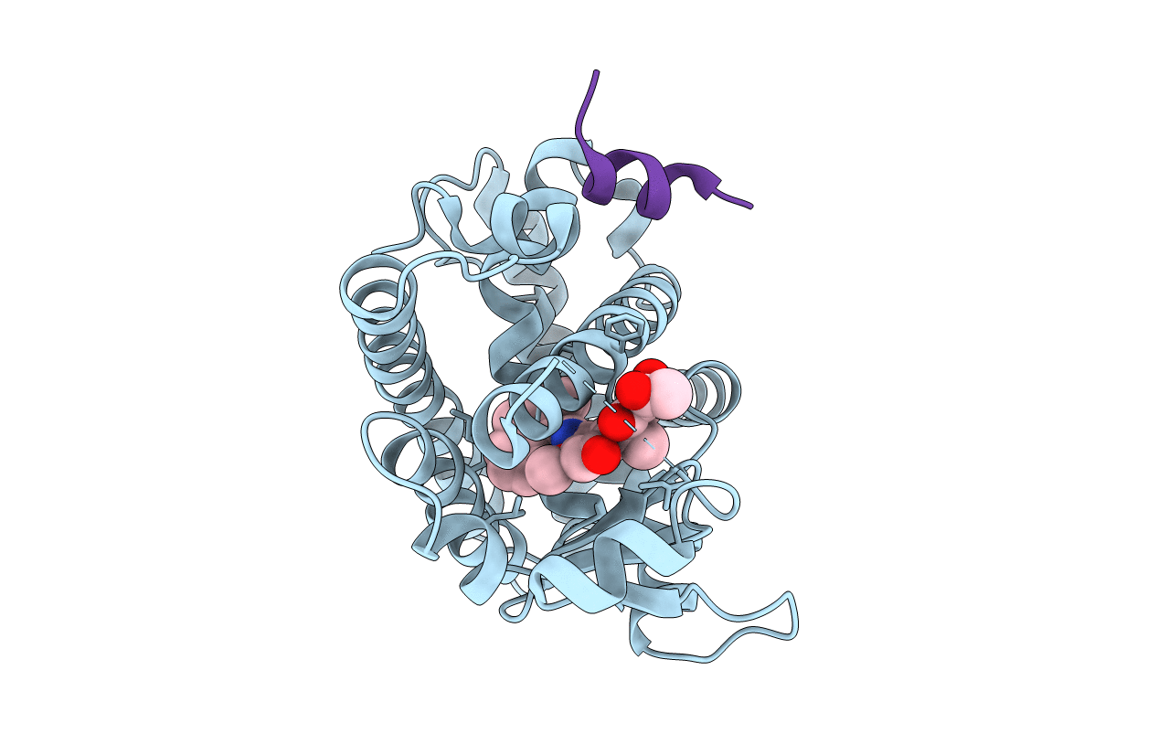 3B1M image