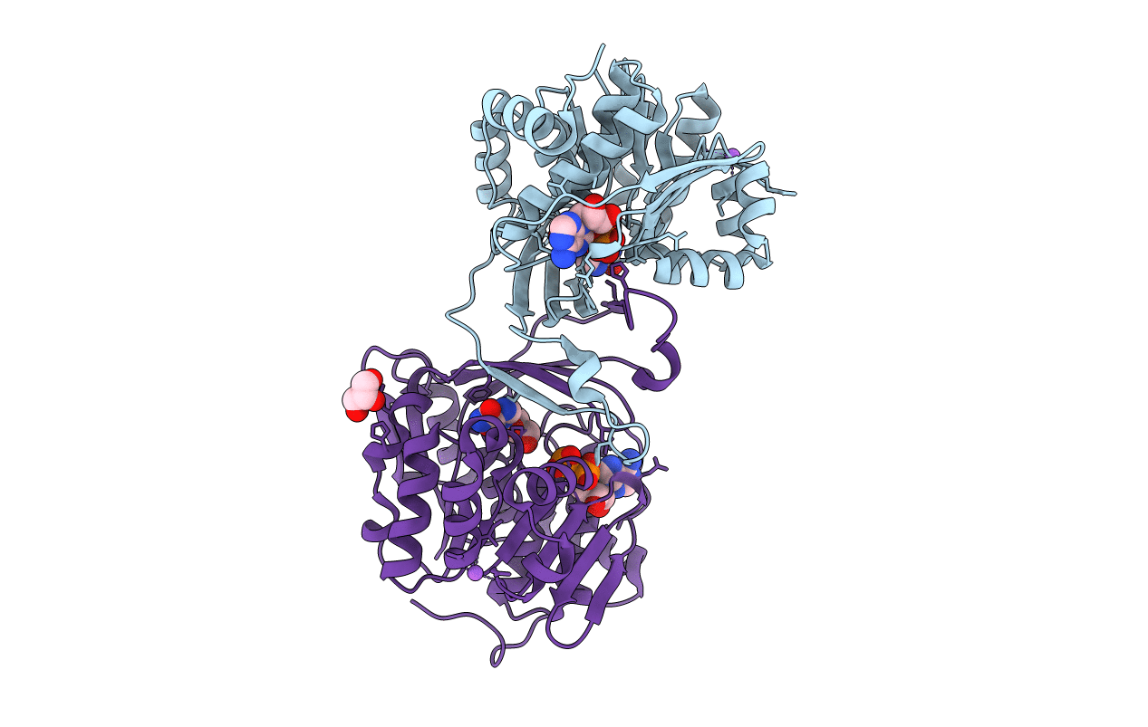 3B1N image