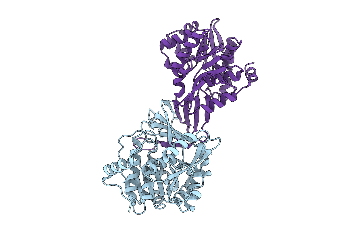 3B1O image