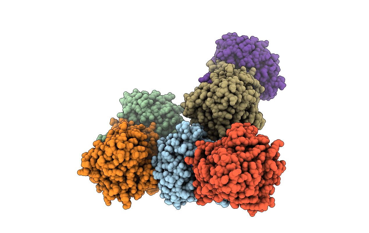 3B1R image