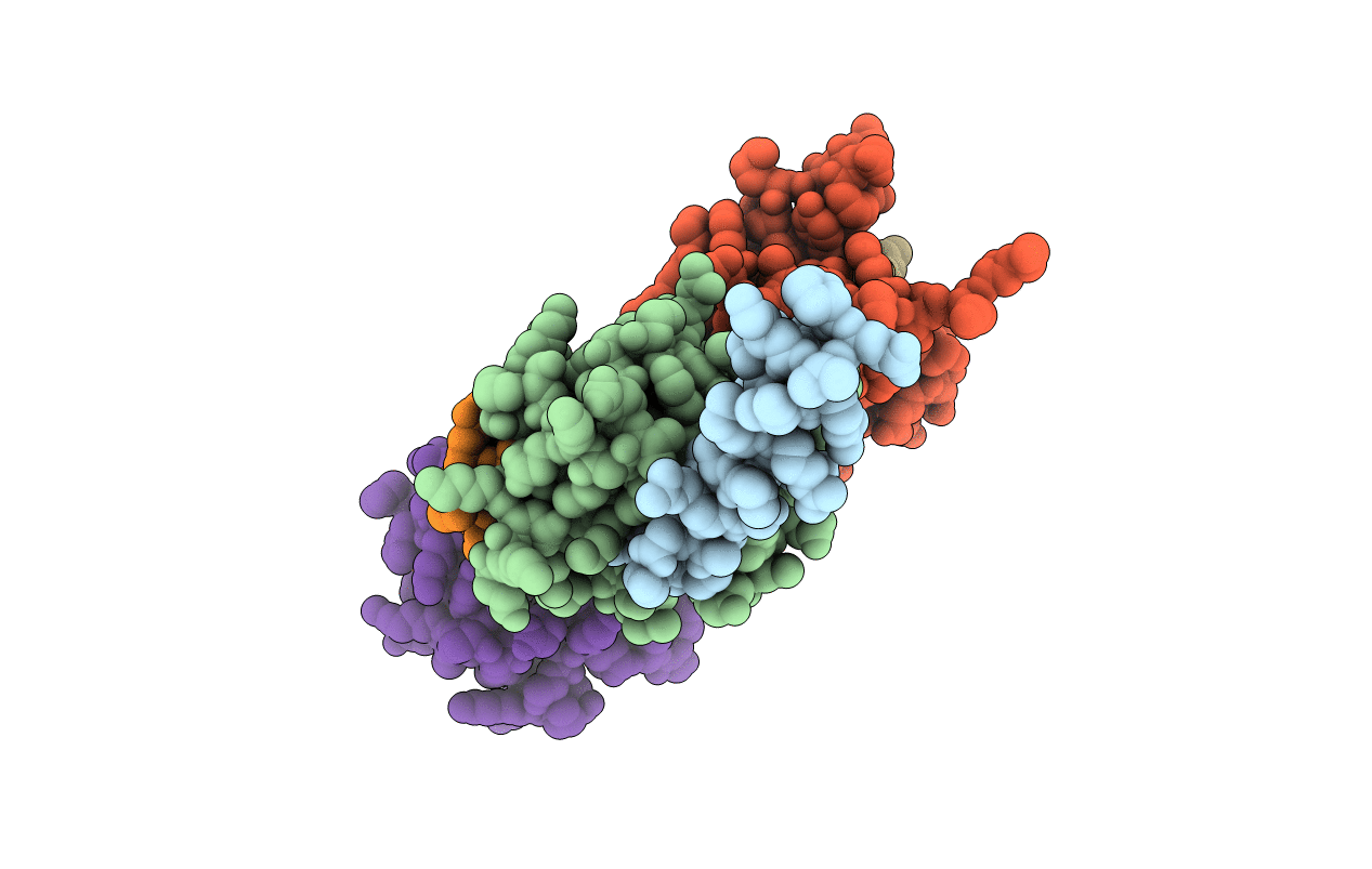 3b1s image