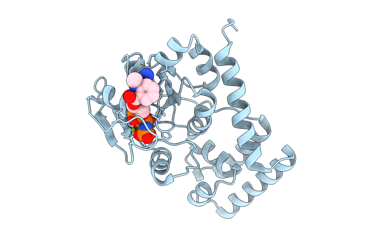 3B1V image