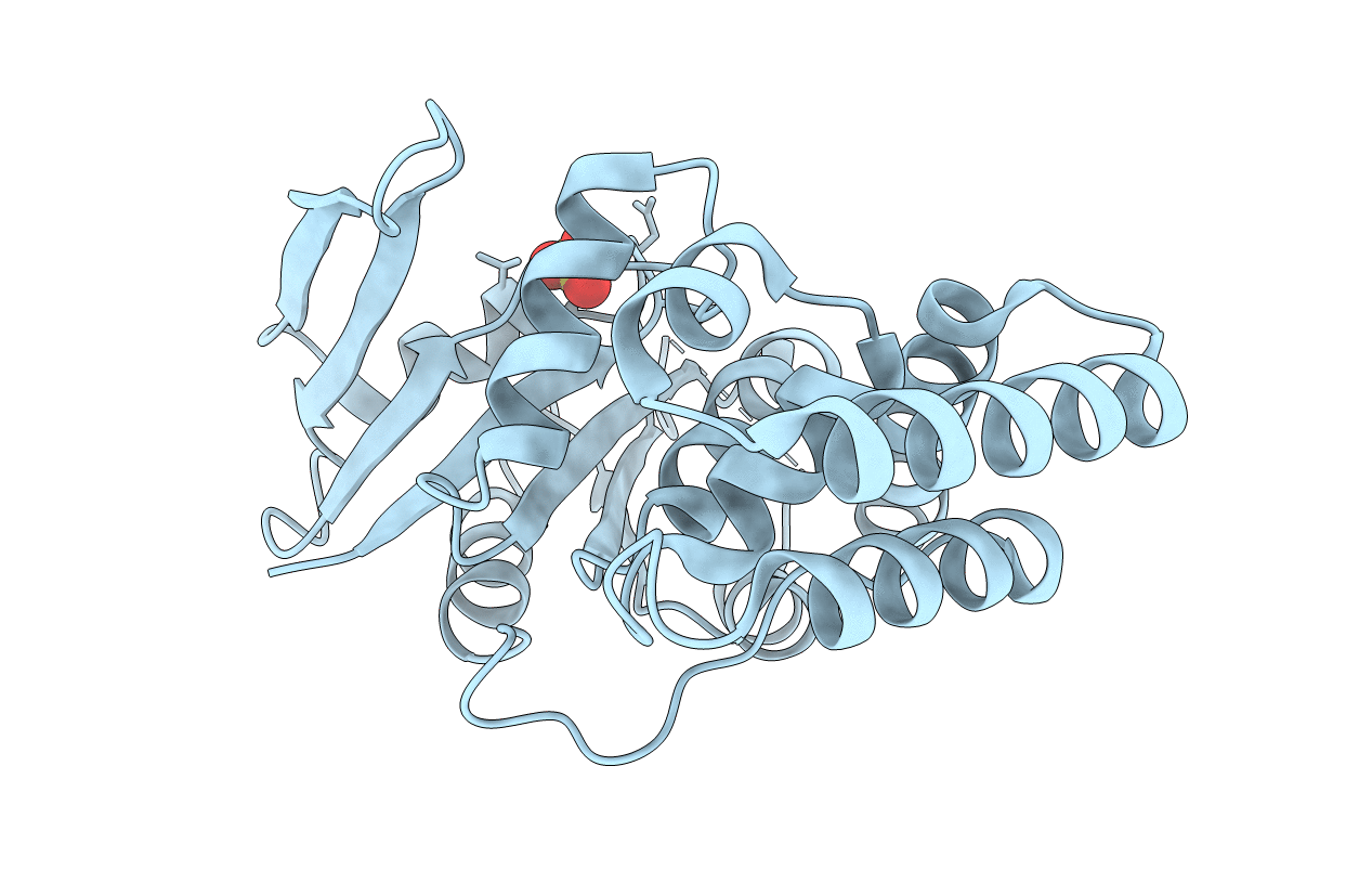 3B1Z image