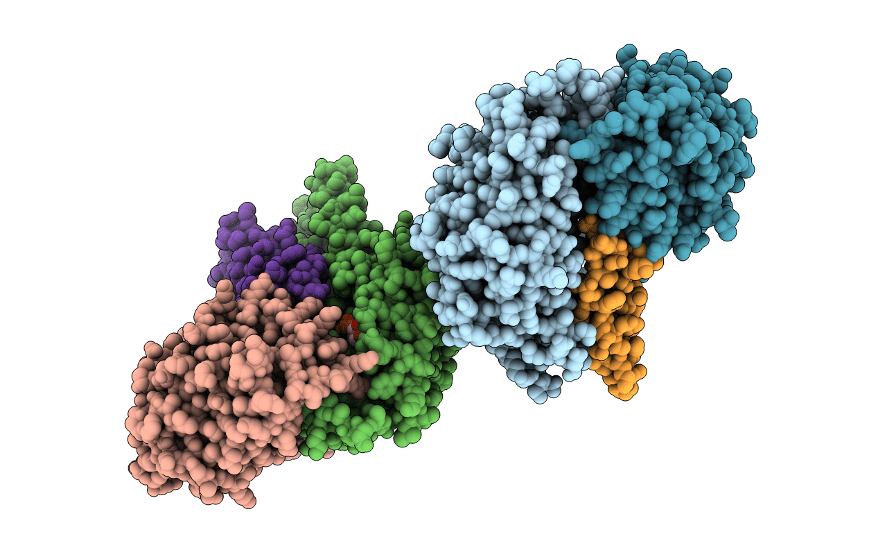 3B2E image