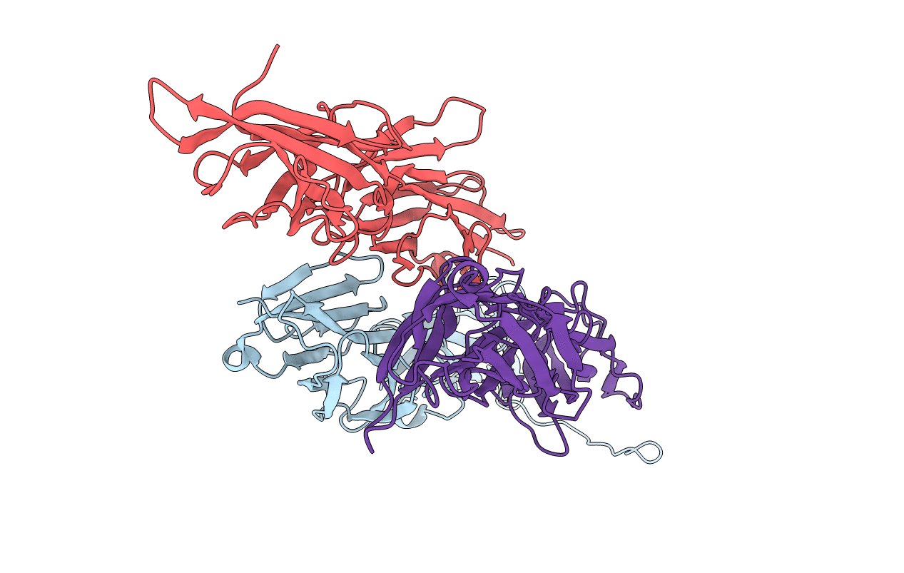 3B2M image