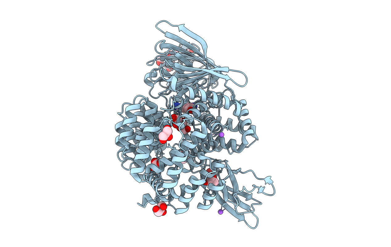 3B2P image