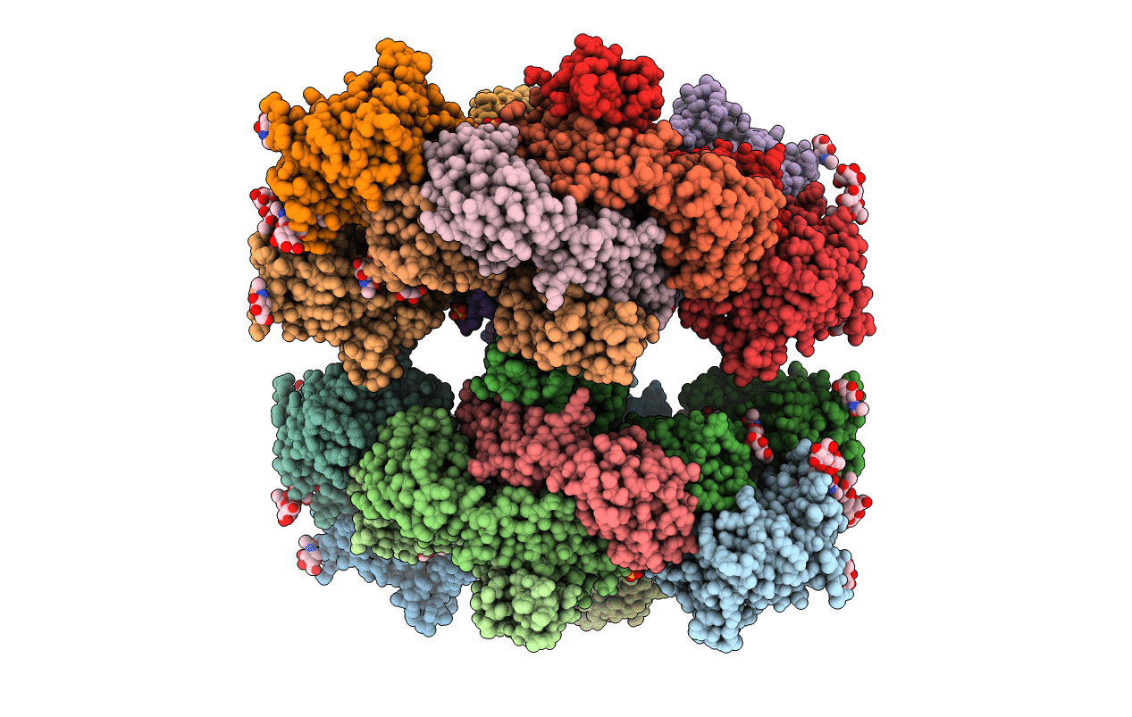 3B2U image