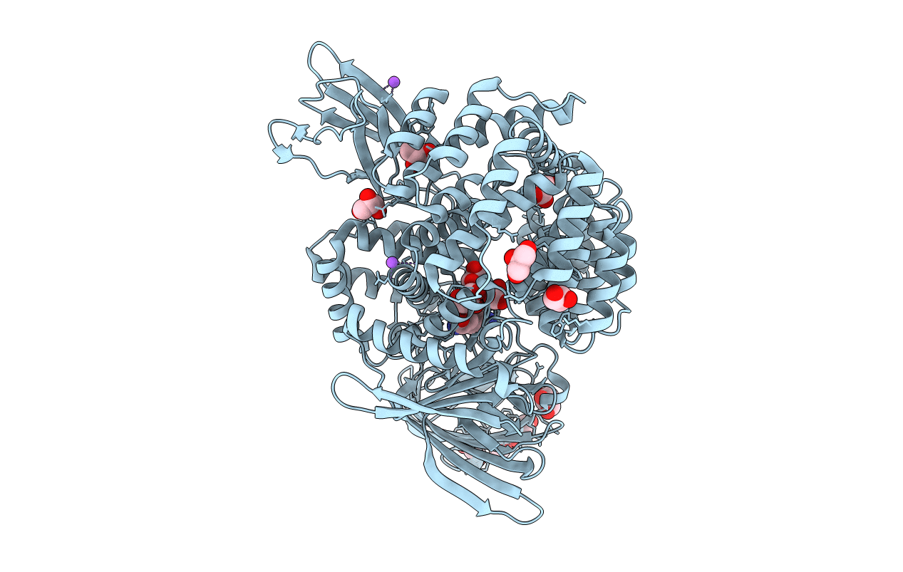 3B2X image