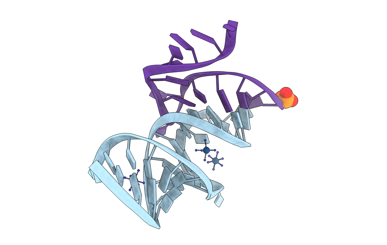 3B31 image