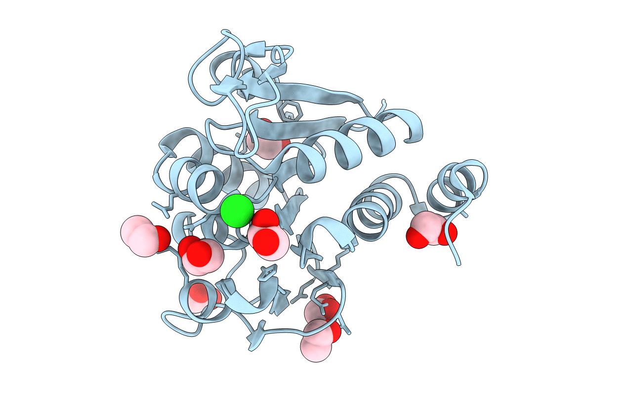 3B36 image