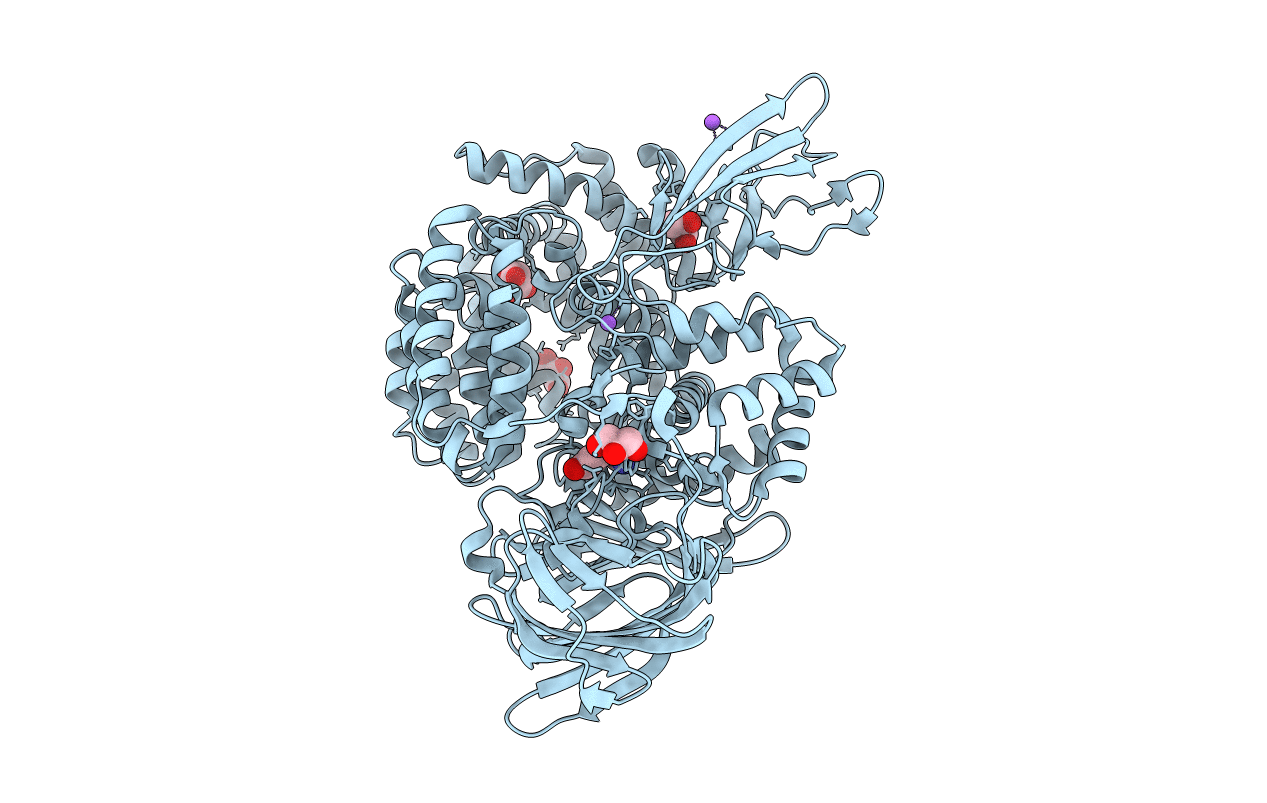 3B37 image