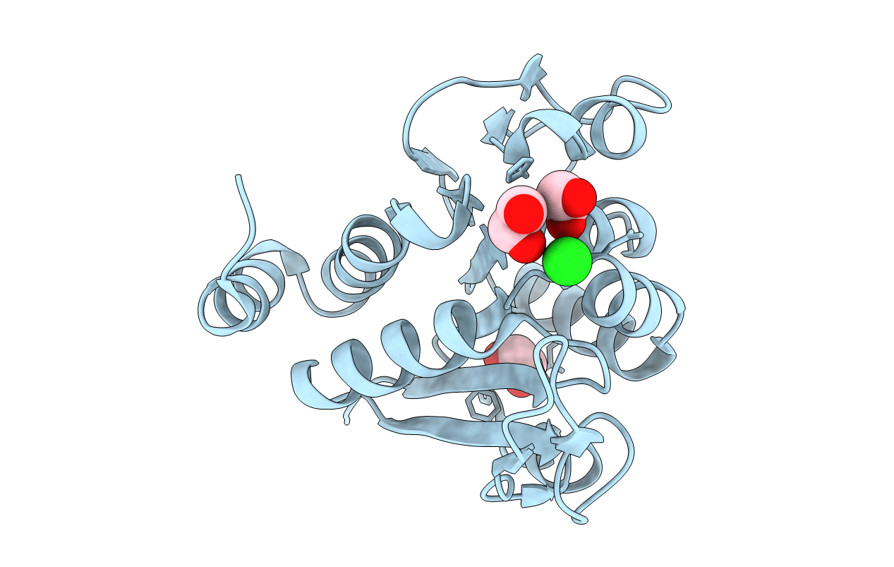 3B3A image