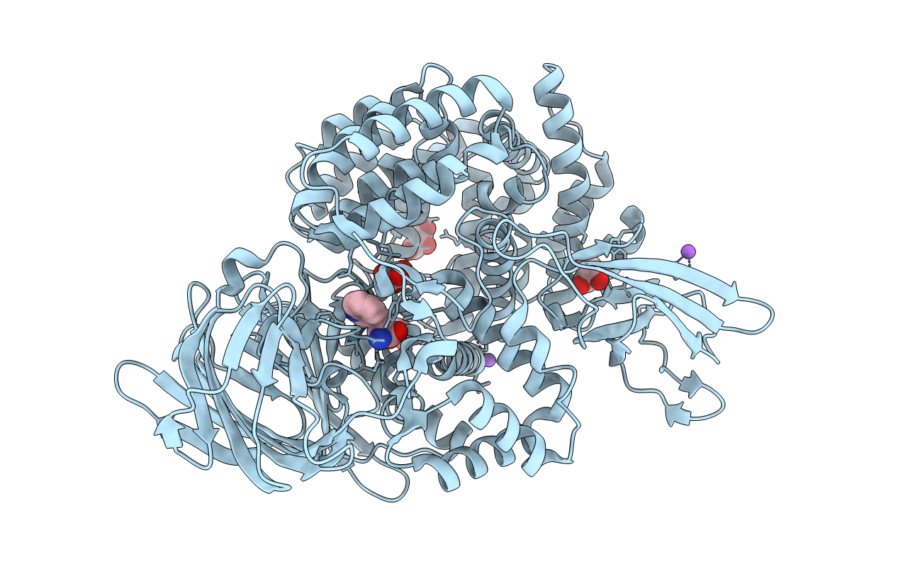 3B3B image