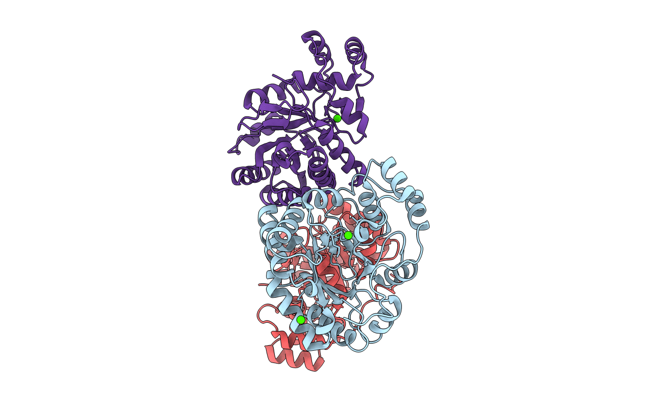 3B3D image