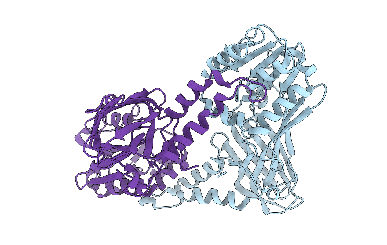 3B3G image