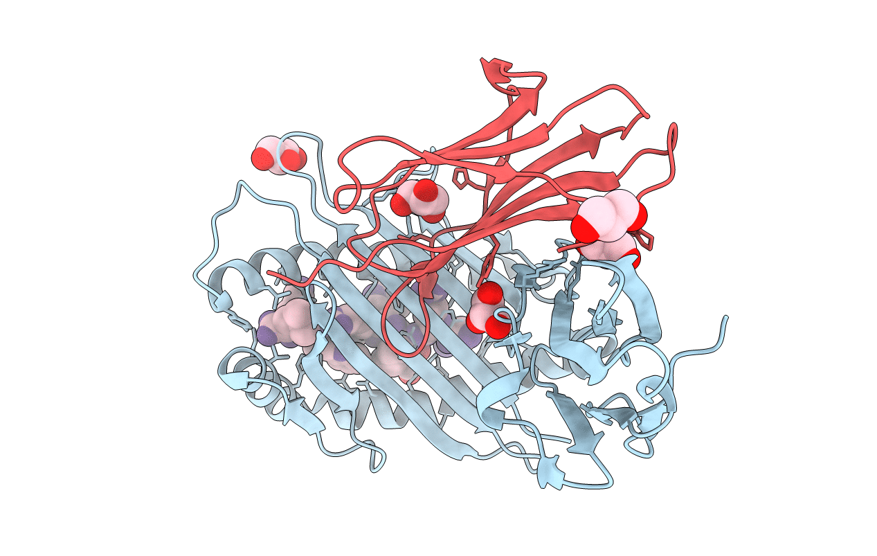 3B3I image