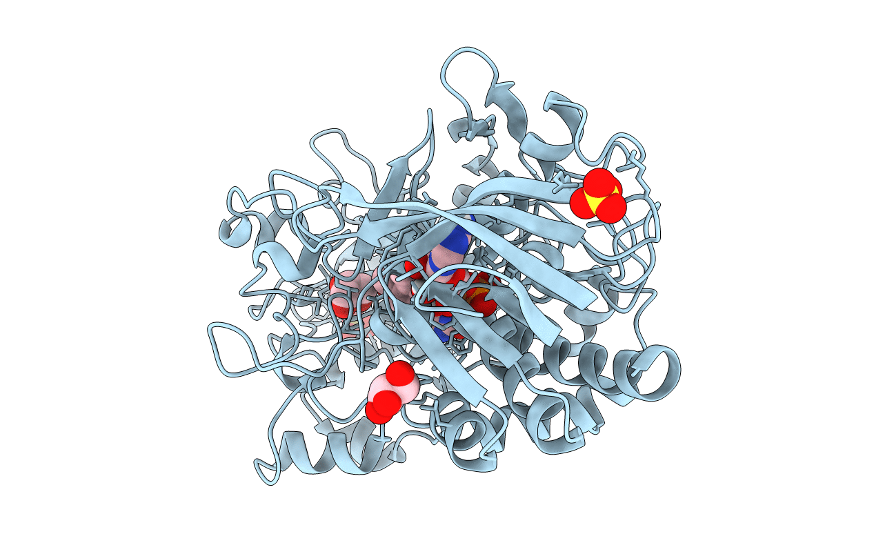 3B3R image