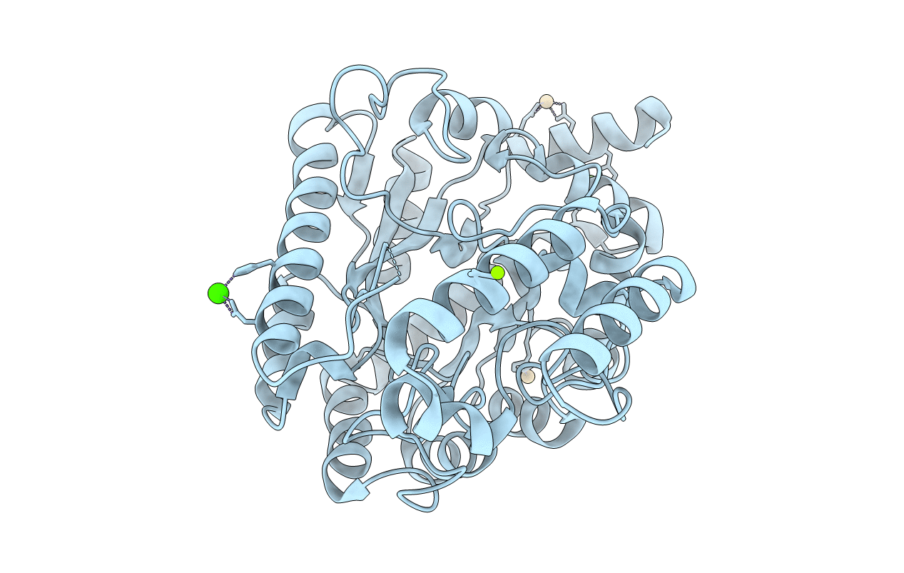 3B40 image