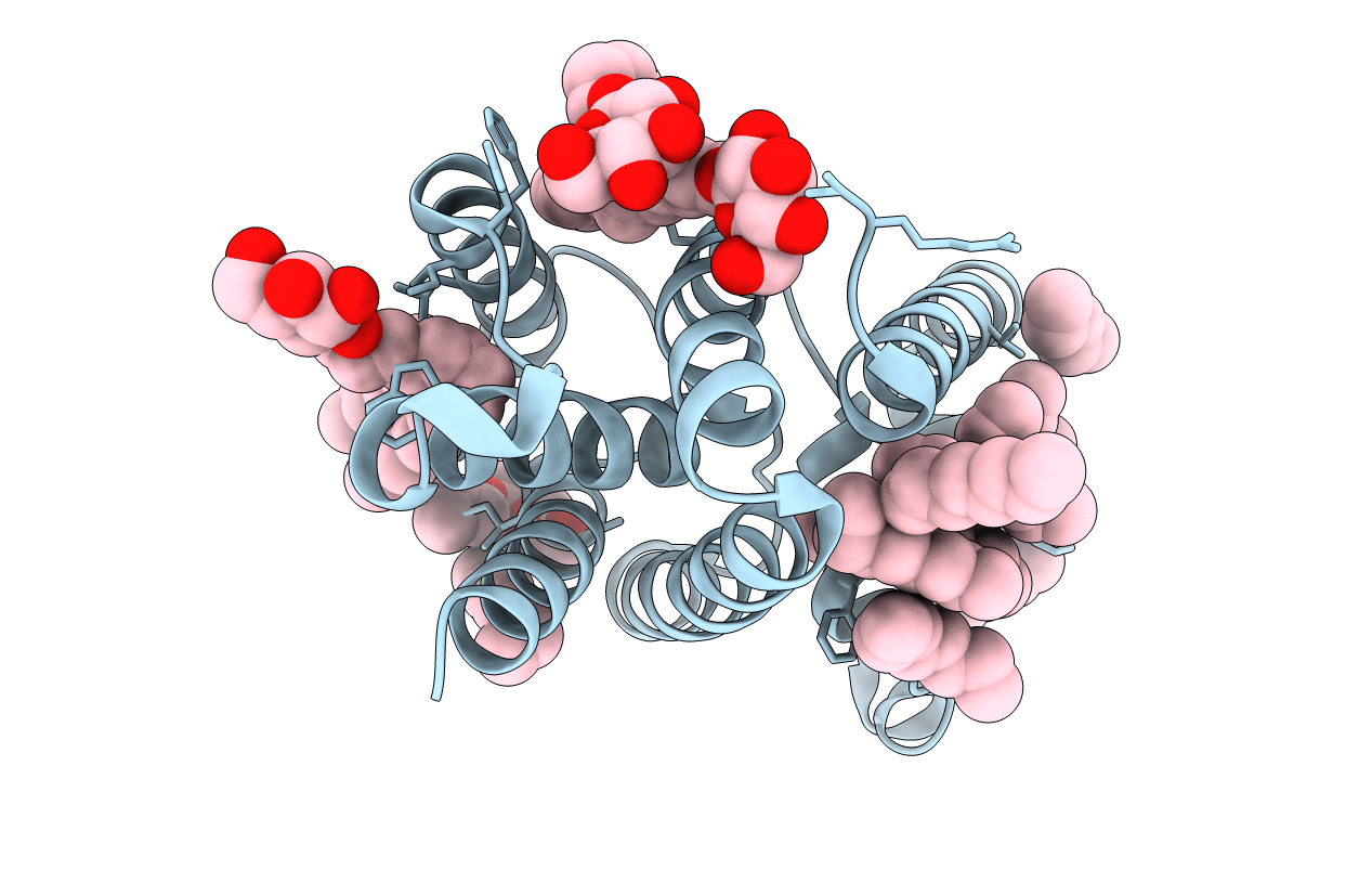 3B44 image