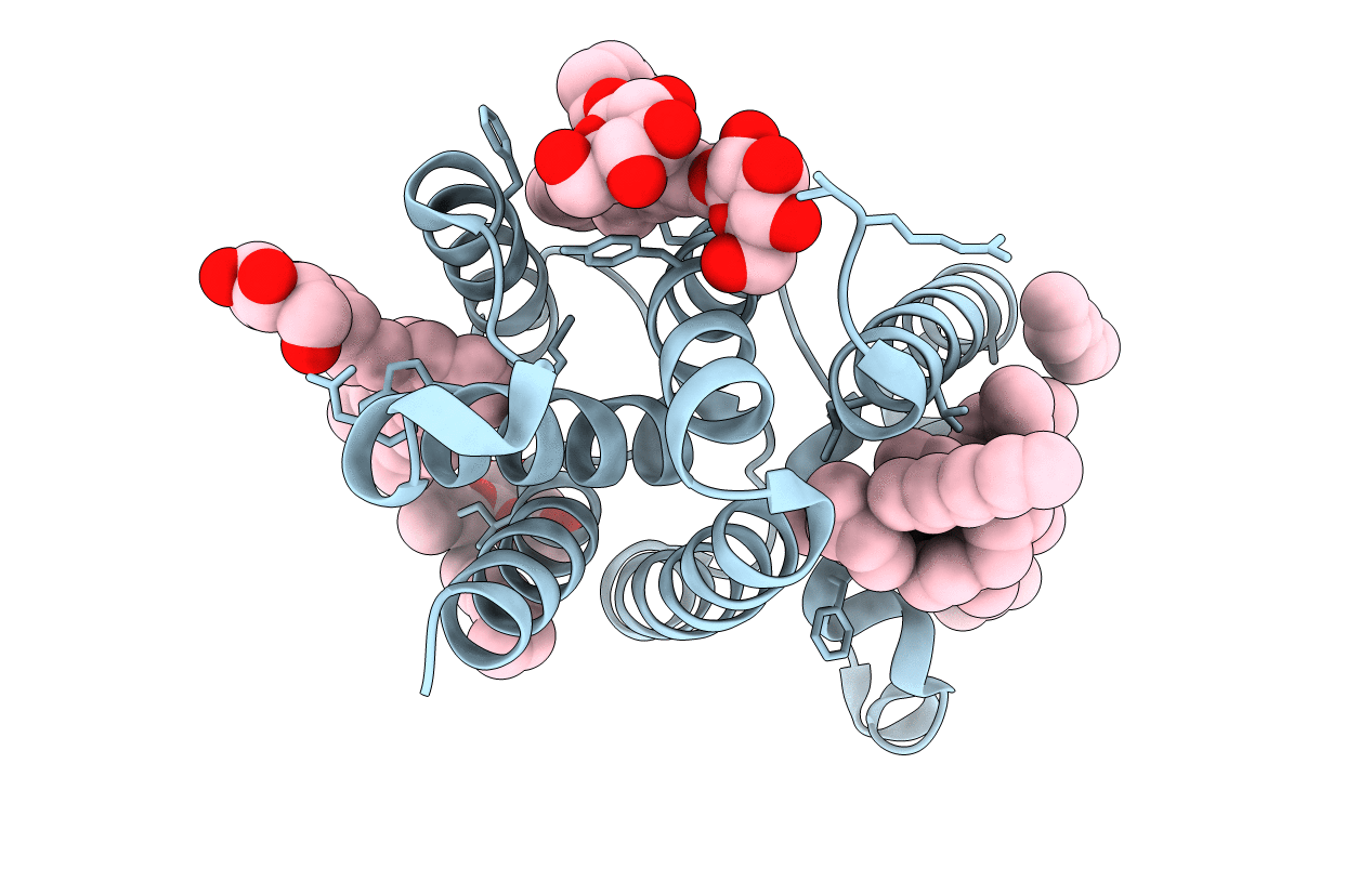 3B45 image