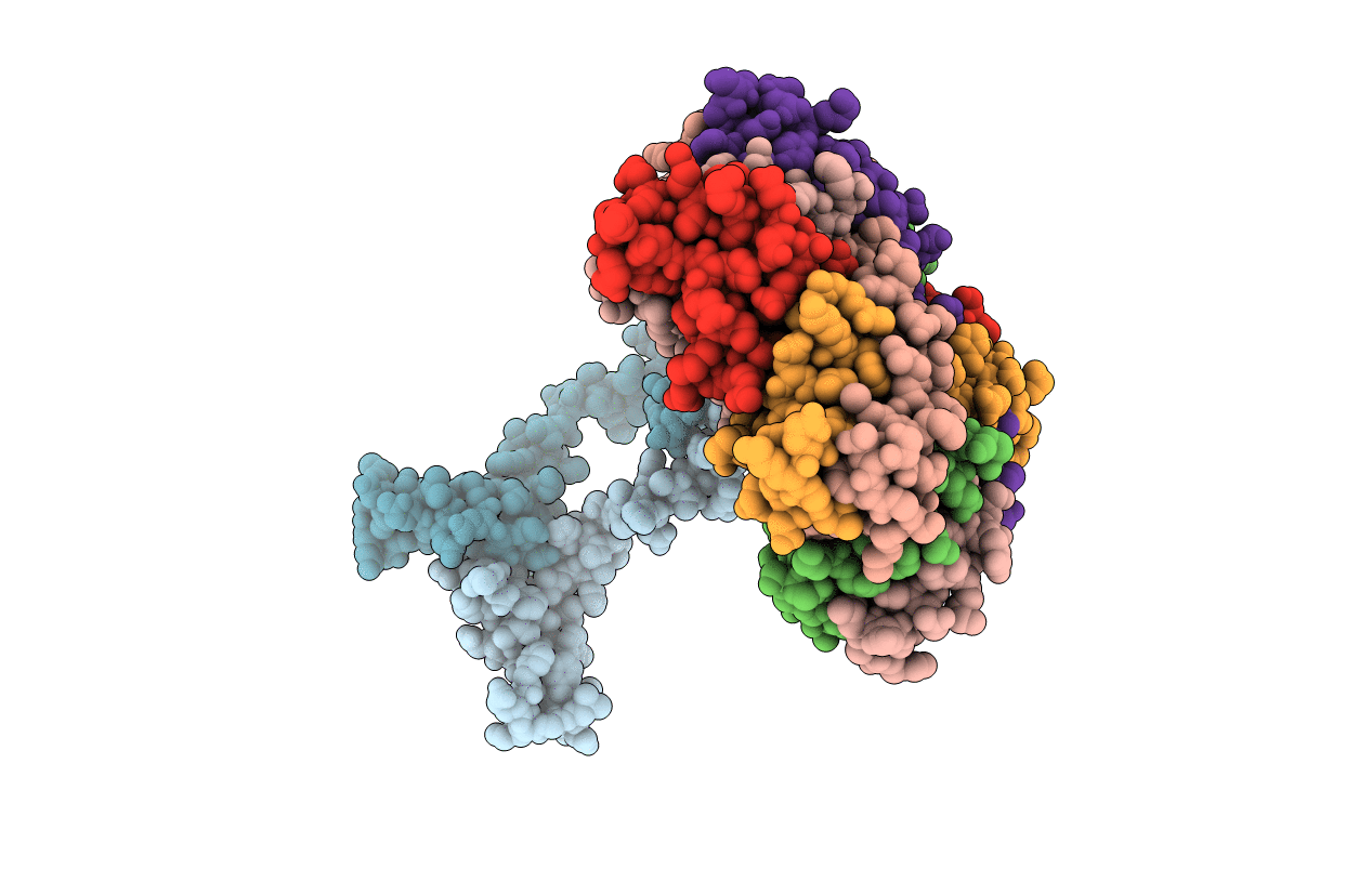 3B4S image