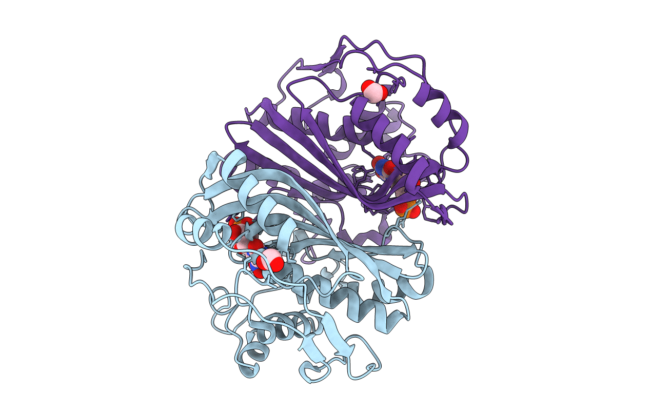 3B5B image