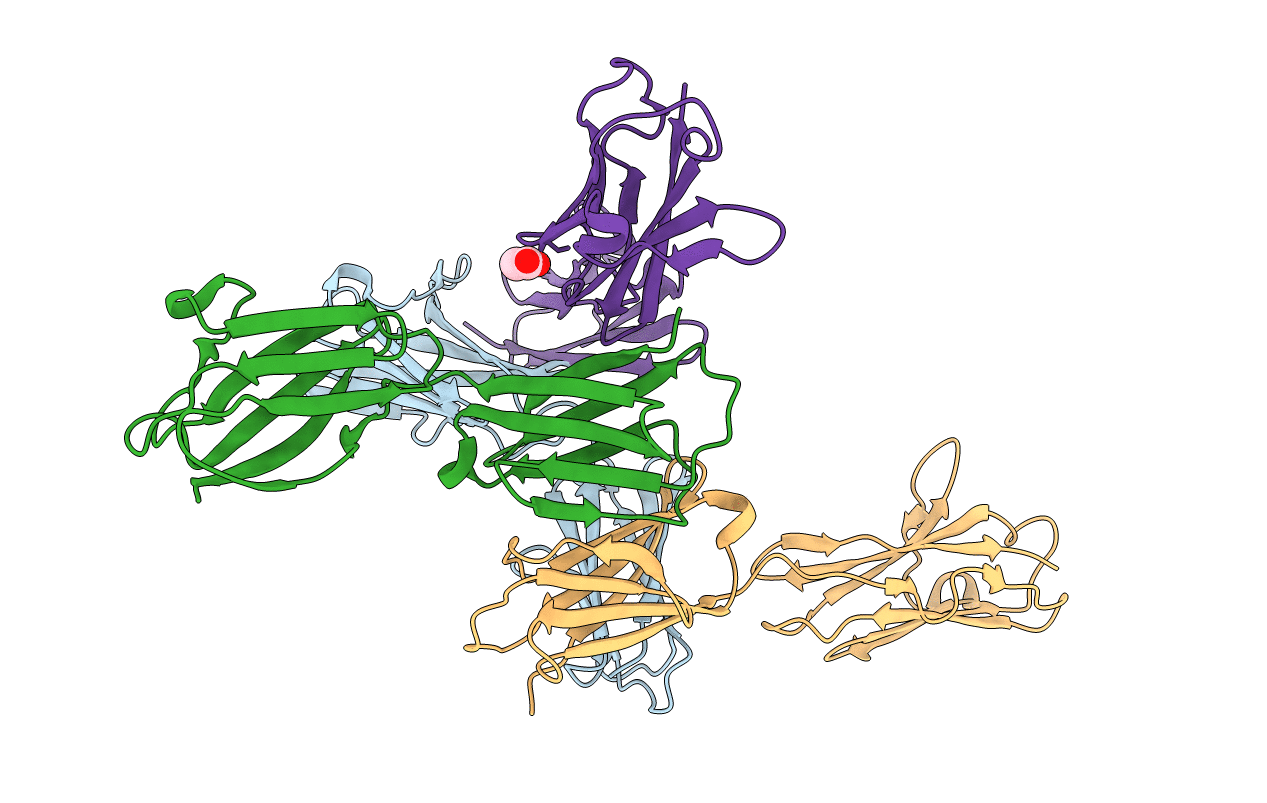3B5H image