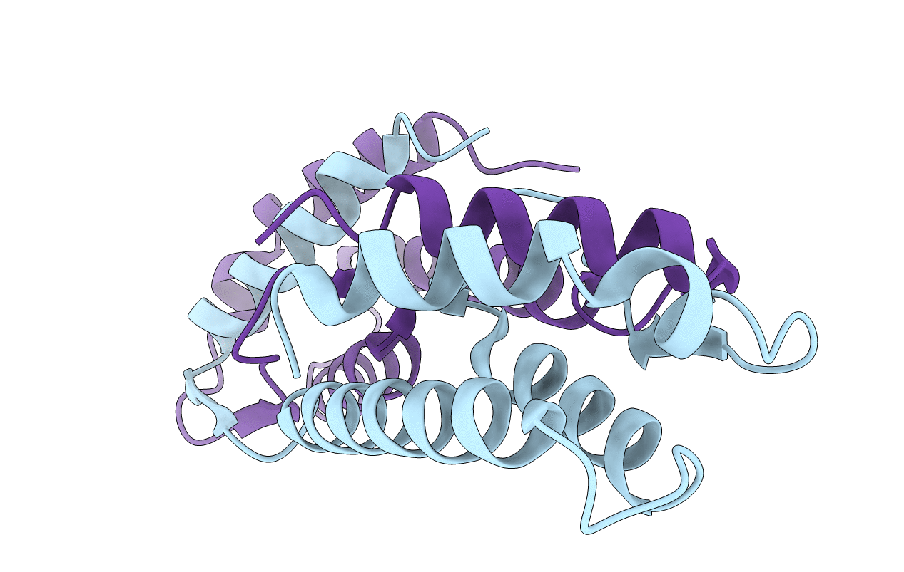3B5K image