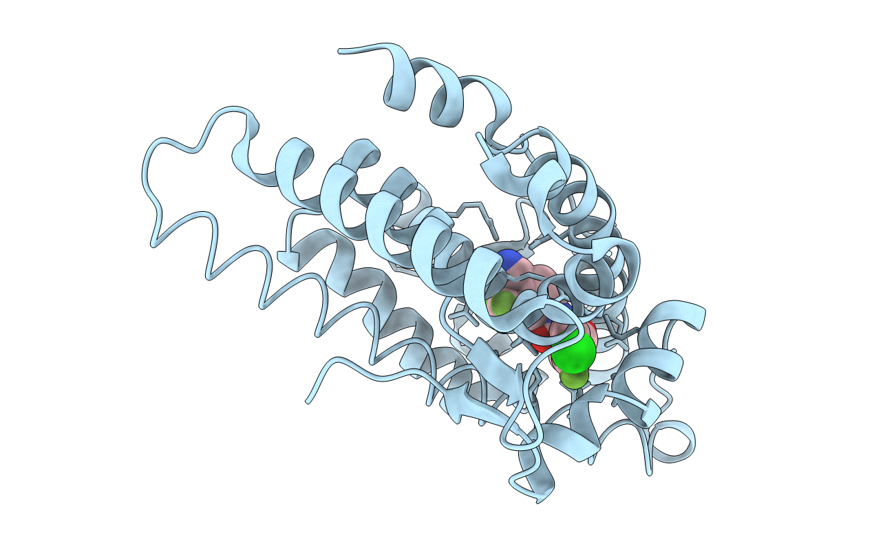 3B5R image