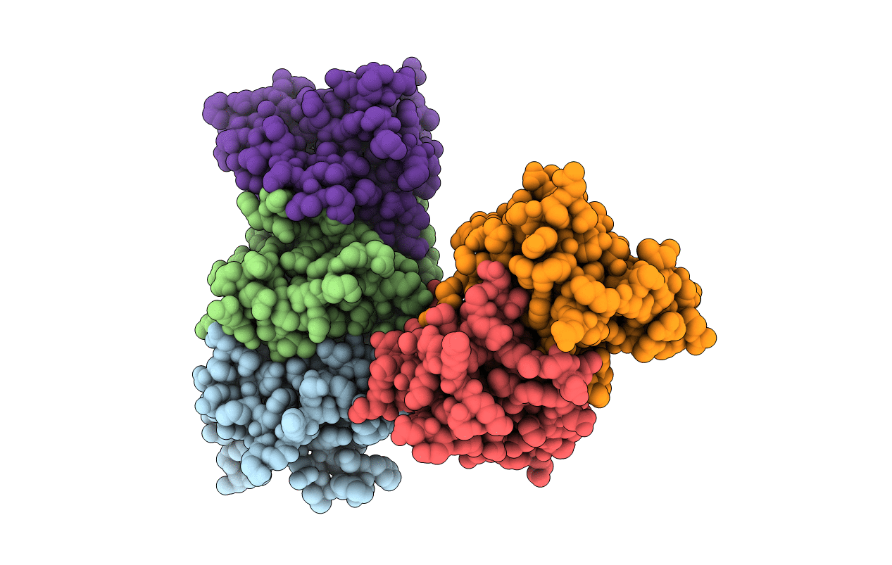 3B5T image