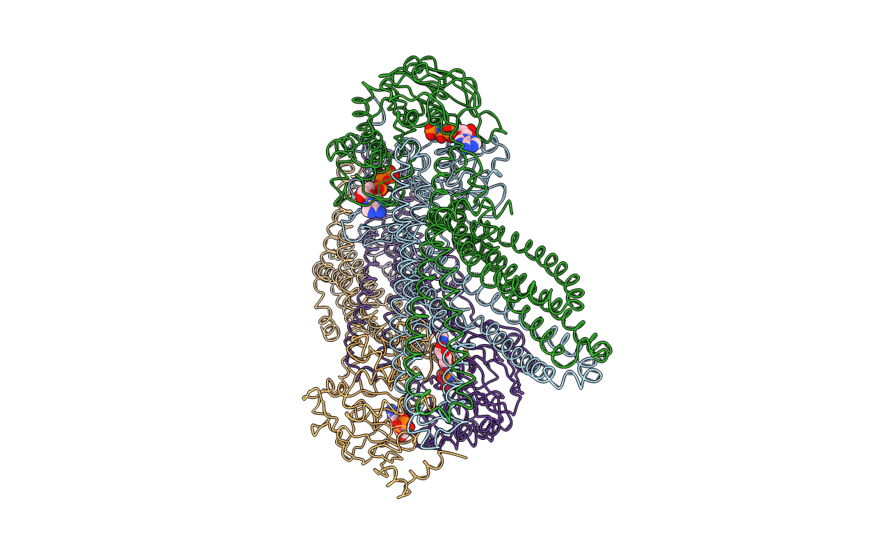 3B5Y image