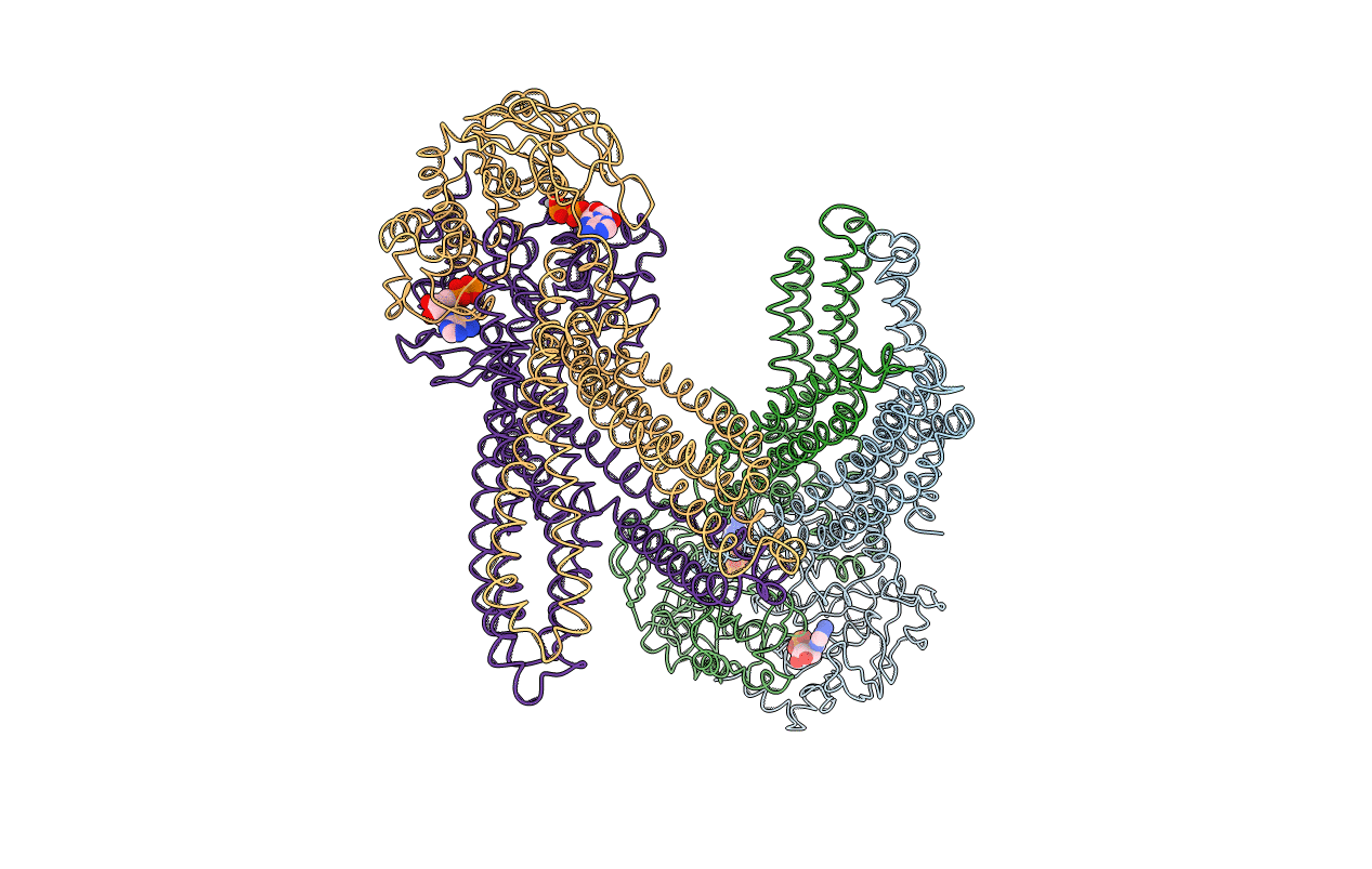 3B5Z image