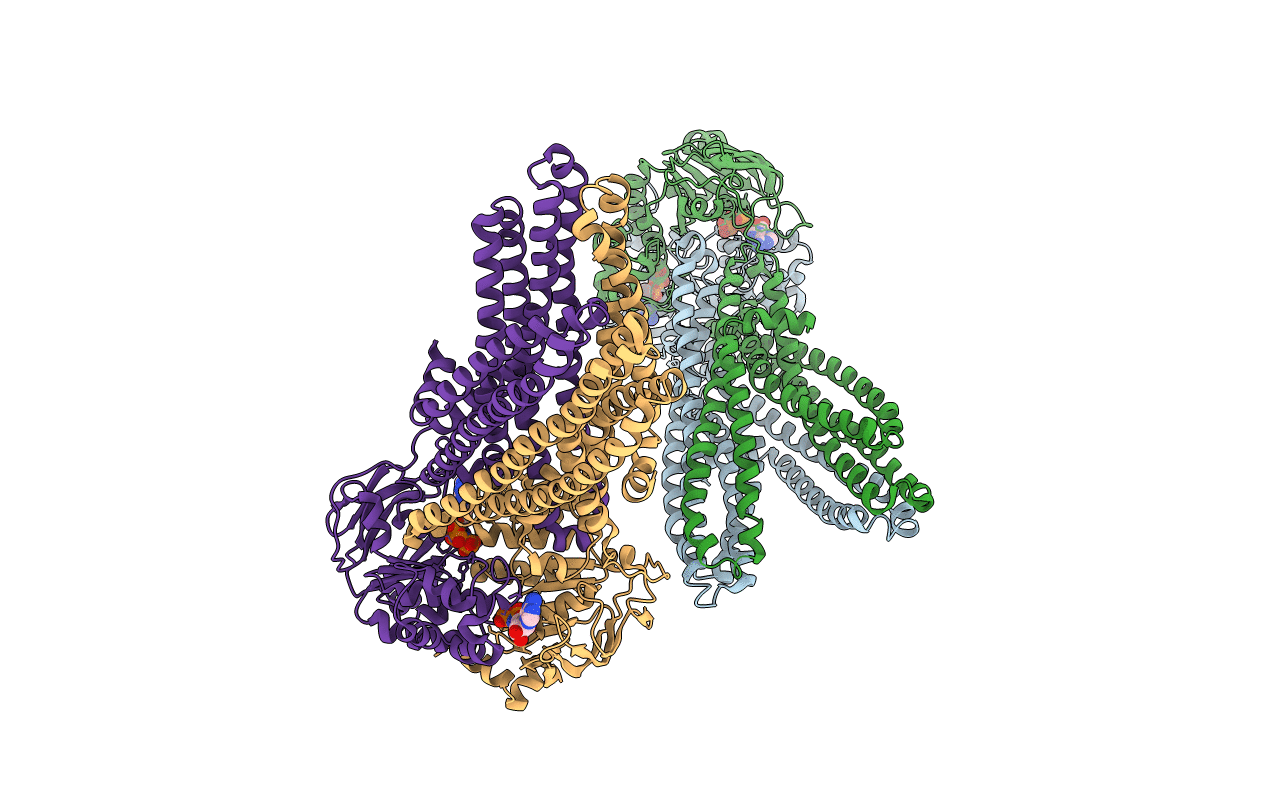3B60 image